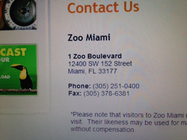 Zoo_The Couch Manager